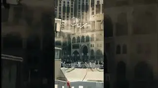 Peaceful Quran Recitation. Heart-Touching Tilawat. #Quran #Tilawat