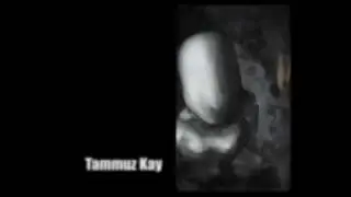 Tammuz Kay - IDv3