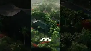 Bali Bird Park | VFX Breakdown | AVB Media Asia #shorts
