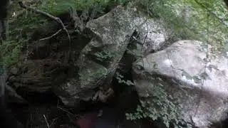 Ulemas 7c, Q. Rebollar