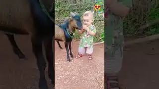 Cute