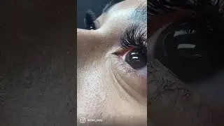 #lashes #lashesextensions #lasheseyes #miami #floridalashes #lashesmood #нараститьресницы #ресницы