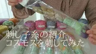 只今刺し子中【5】ぐりグらさんの細糸からのコスモスを刺しながらのぼやき