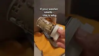 If your washer smells&hellip;this is why
