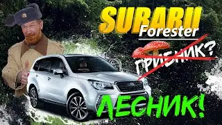 Обзор Subaru Forester SJ5 🌳Грибник🍄 SUV для города или для леса🤷🏻&zwj;♂️