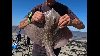 ON THE RAYS AT KILVE  25 8 25..#seafishinguk #beachfishing #bristolchannel