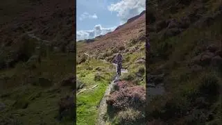 MTB trail , Betws-y-Coed, Wales