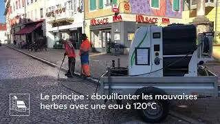 Le d&eacute;sherbage &agrave; l'eau chaude &agrave; Altkirch