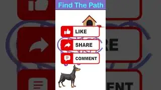 puzzle game for kids || find the right path || short video