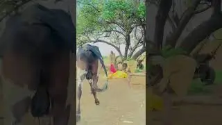 Punjabi village life lod is glod #trending #penduvlog #punjabi #pindlife #penduvlog #sorts #trending