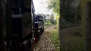 Perrygrove Railway Adventure #forestofdean #perrygrove #railway #toytrain #train