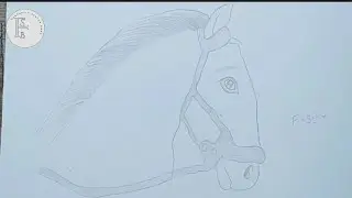 How To Draw A Beautiful Horse Face Sketch Drawing With Pencil Step By Step || Fantastic Sketch Book.