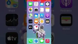 Apple iphone most common issues