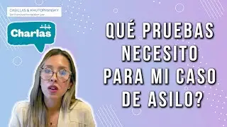 Qué documentos/pruebas necesito para mi caso de asilo?