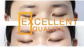 brow henna kit