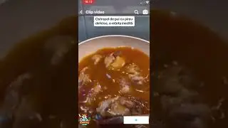 GABRIELA CRISTEA GATIM OSTROPEL DE PUI 😋
