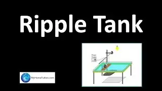 Ripple Tank | Reflection of Waves