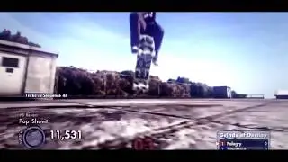 Skate 3  SneakyLeroy All Over 13   By Jake