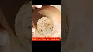 how to grow potato plant #shorts #agriculture #grafting #forming #reel #green world