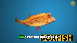 A unique Mercedes-Benz design: the fish that didn't swim!!!