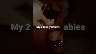 From TikTok my 2 babies