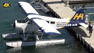 Harbour Air DHC-2 Beaver (C-GMKP) Engine start, Taxi & Take Off