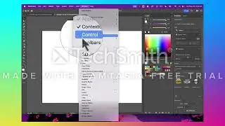 Illustrator Workspace Setup