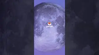 Last Day &mdash; 🌑 #chilltraptypebeat #lofitrap #switchbeat #lofitrapbeat