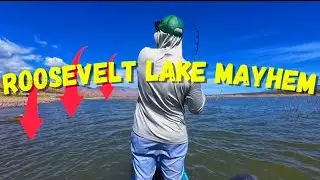 Bass Fishing Madness at Roosevelt Lake
