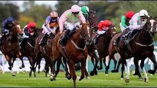 【LEOPARDSTOWN】  IRISH HORSE RACE ANALYSIS - CHECK OUT BEST OF THE DAY TOO!!
