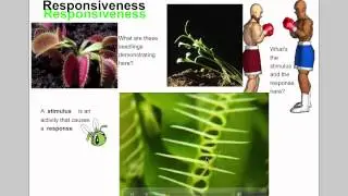 Characteristics of Life (Grade 7 Science)