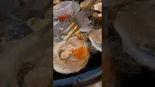 #bestdeal #oysters #shorts #nolaeats  from 1pm to 4pm at galliers oyster bar near Canal & Bourbon St