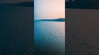 Small waves of life