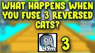 What happens if you fuse 3 reversed cats