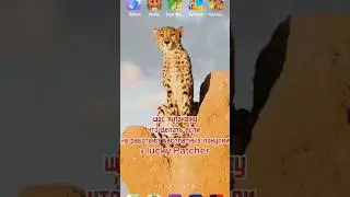 Вот что делать если не работают бесплатные покупки в игре через lucky patcher #luckypatcher