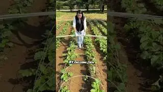 #reelschallenge