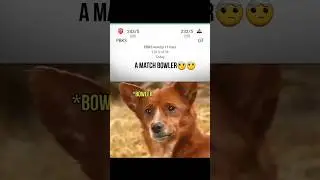 IPL-2025 PBKS vs GT || PBKS Won By 11 Runs😎😎 #ipl #pbks #gujarat #shorviral