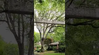 Japanese Garden Squirrel Bridge in Longview Washington