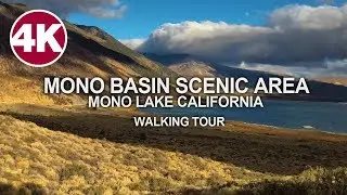 Walking Tour | Mono Basin Scenic Area Visitor Center - Mono Lake, California