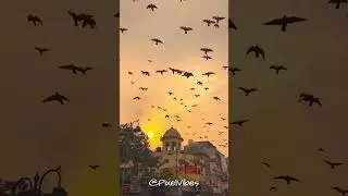 Delhi Status I Delhi Whatsapp Status Video I Delhi Attractions I Best Delhi Status I दिल्ली स्टेटस I