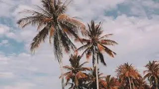 Spadez - Paradise [OFFICIAL]
