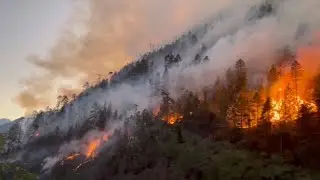 Massive forest fire breaks out in Nyingchi City, SW China's Tibet Autonomous Region