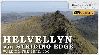 Walking the Trail 100: Helvellyn via Striding Edge