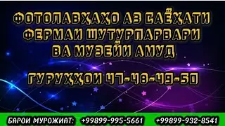 ФОТОЛАВҲА АЗ САЁҲАТИ ЗИЁРАТЧИЁНАМОН 