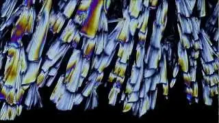 Timelapse of Crystals Growing