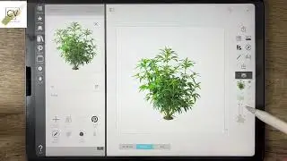 Morpholio Board: An Introduction