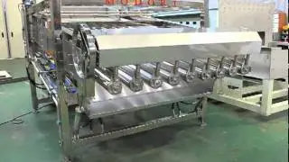 Fish Grading СОРТИРОВЩИК