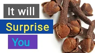Surprising benefits of eating Cloves after 50 | Kundi Health
