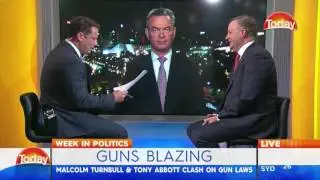 'The guns were stopped': Christopher Pyne confirms Adler sunset clause deal