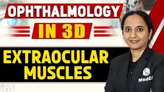 Extraocular Muscles - Ophthalmology in 3D | MBBS | Dr. Sudha